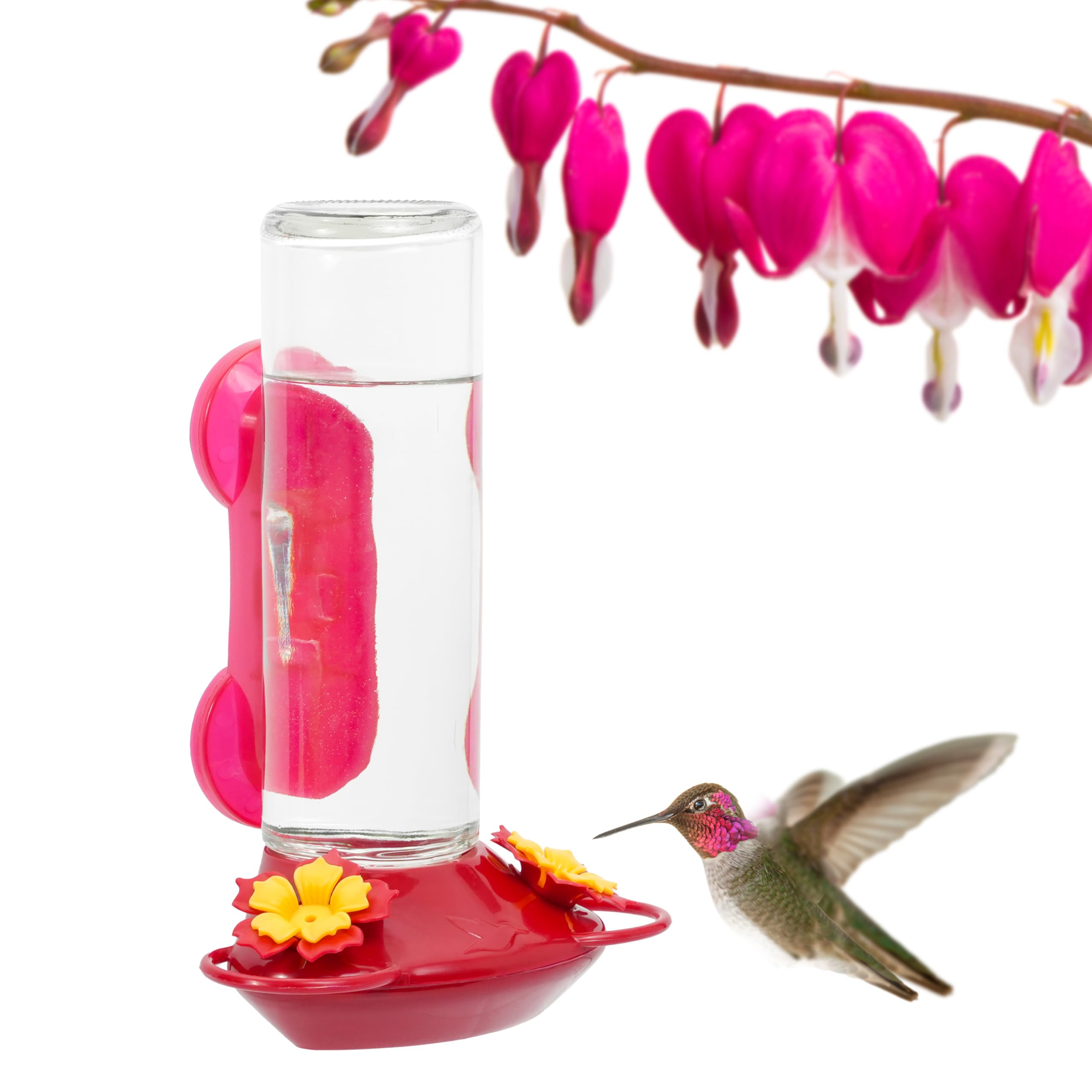 Perky-Pet Window-Mounted Glass Hummingbird Feeder front view