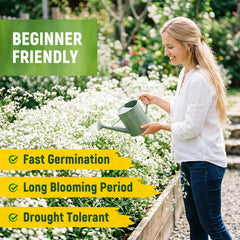 Person planting Baby's Breath seeds in garden