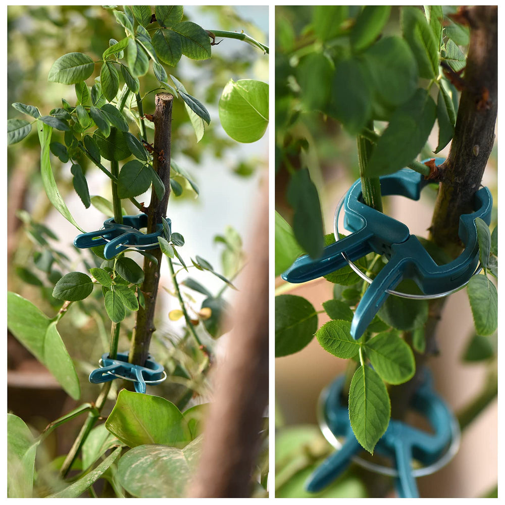 PERSZEN plant clips in use supporting climbing plants