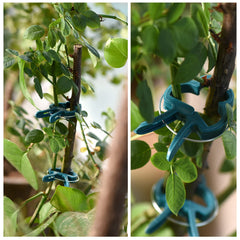 PERSZEN plant clips in use supporting climbing plants