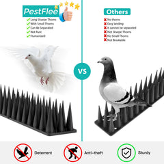 PestFlee Bird Spikes displayed in packaging