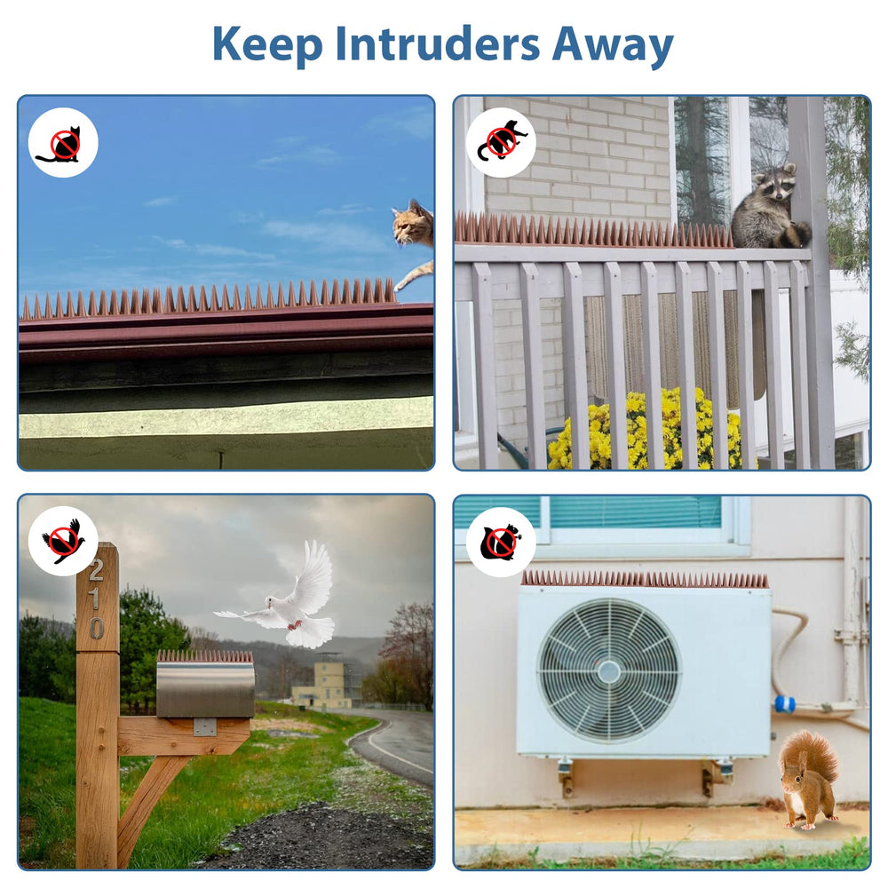 PestFlee bird spikes showing humane design