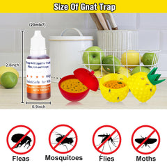 Pestvanish Fruit Fly Trap Refill Liquid near a fruit bowl