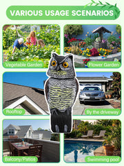 Pestvanish Owl Decoy mounted in a garden
