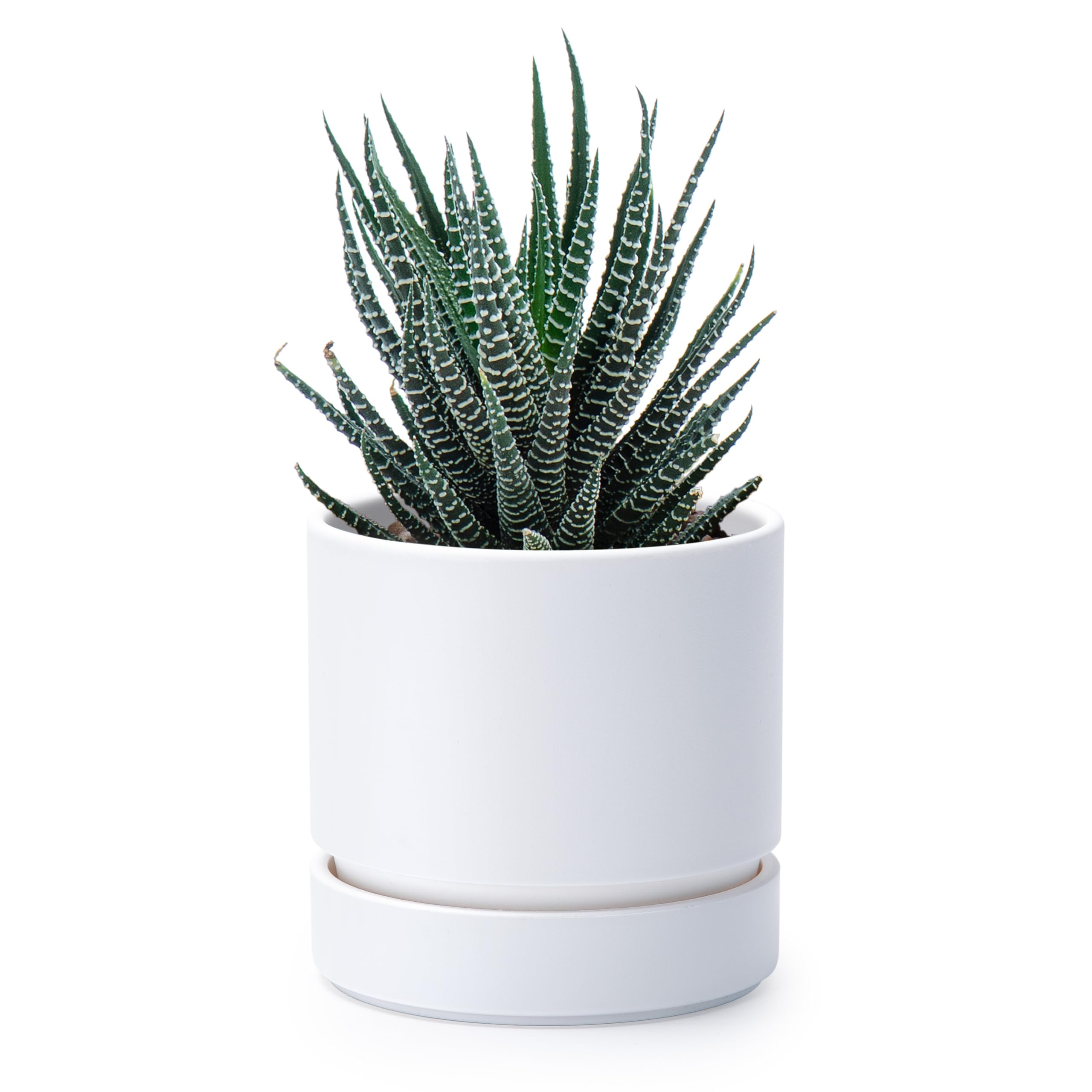 Phoenix Vine 4 Inch Matte White Planter Pot front view