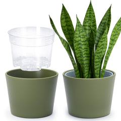 Phoenix Vine 6.6 Inch Olive Cachepot with clear nursery pot front view