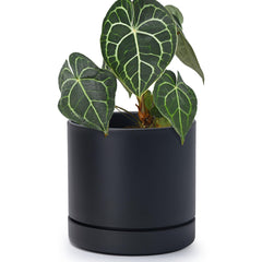 Phoenix Vine 6 Inch Matte Black Planter Pot front view