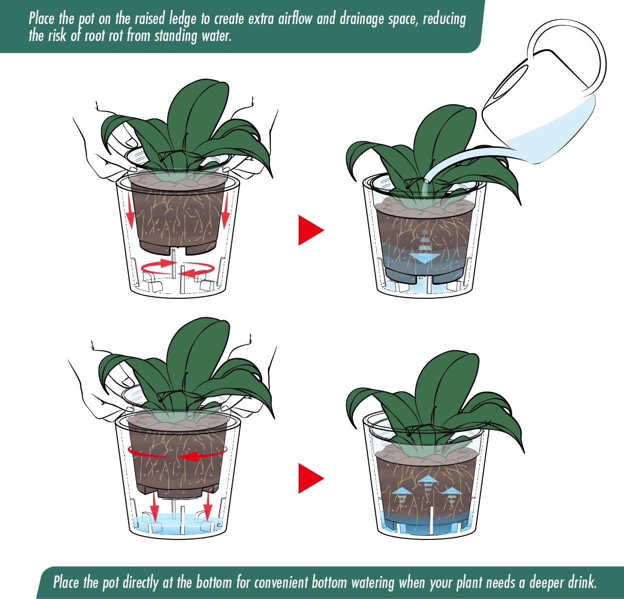 Phoenix Vine cachepot showing breathable design