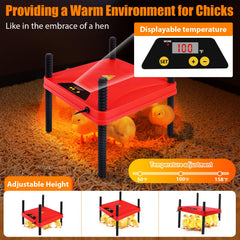 Phoncoo Chick Starter Kit contents including feeder and waterer