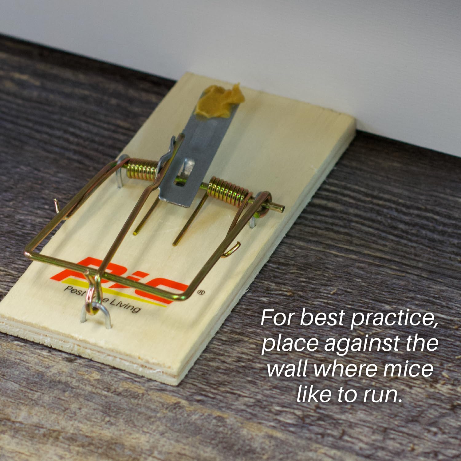 PIC Wood Mouse Traps set in a garden environment
