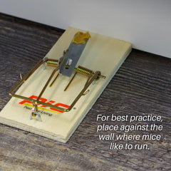 PIC Wood Mouse Traps set in a garden environment