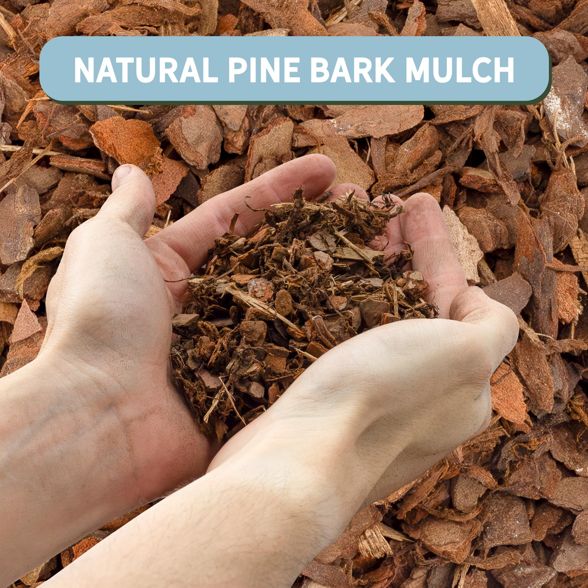Pine bark mulch applied to a potted plant for decorative effect