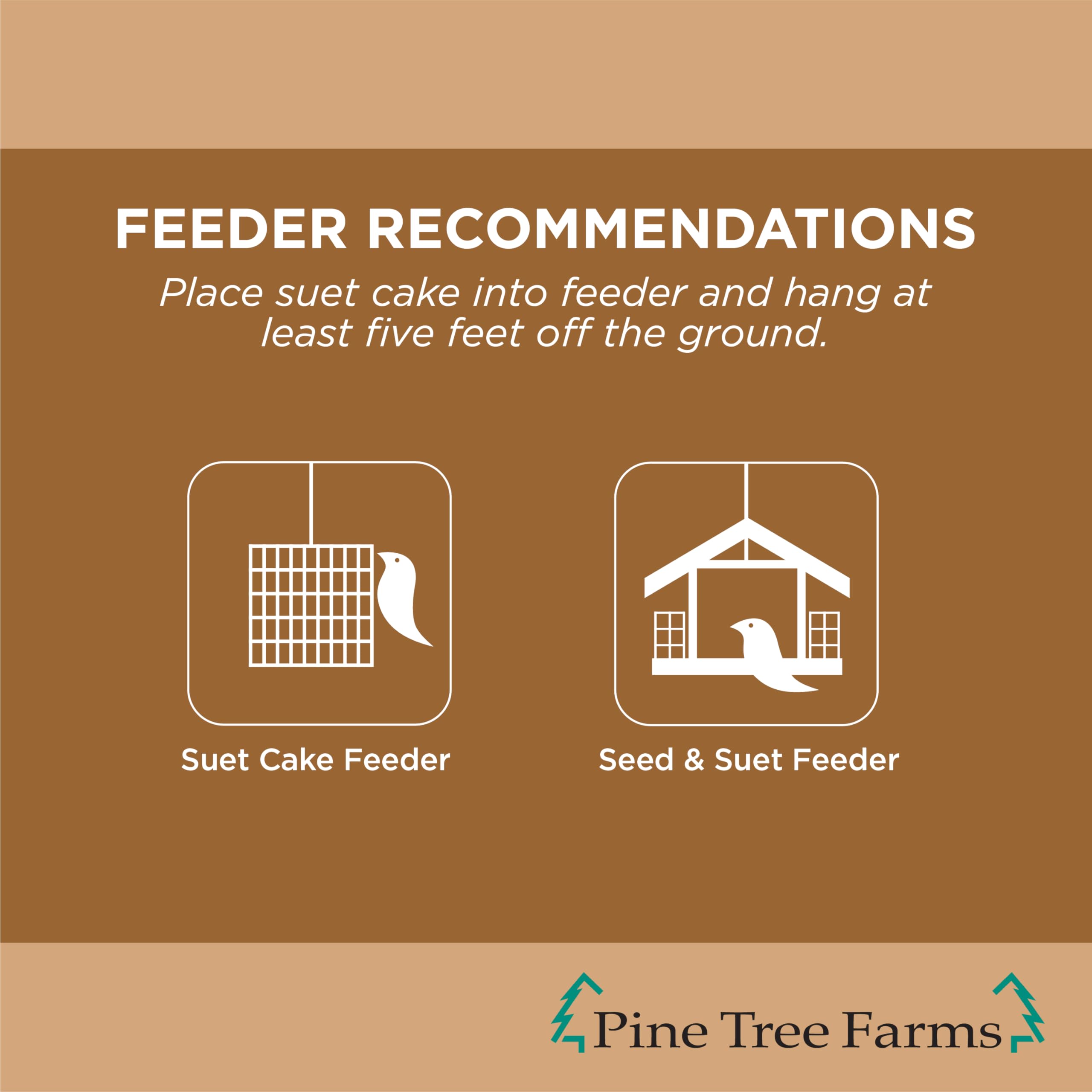 Pine Tree Farms Peanut Suet Cake with woodpecker