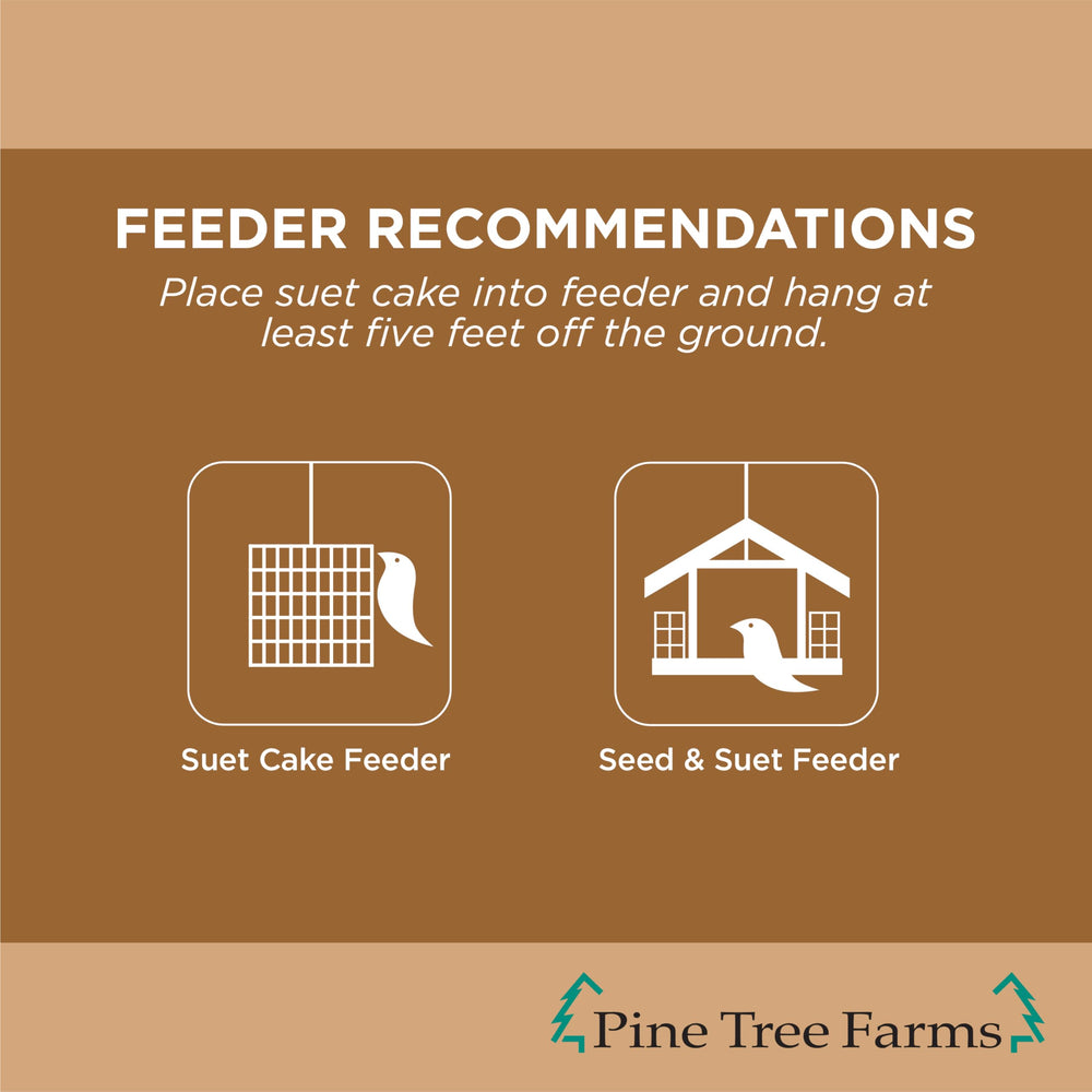 Pine Tree Farms Peanut Suet Cake with woodpecker
