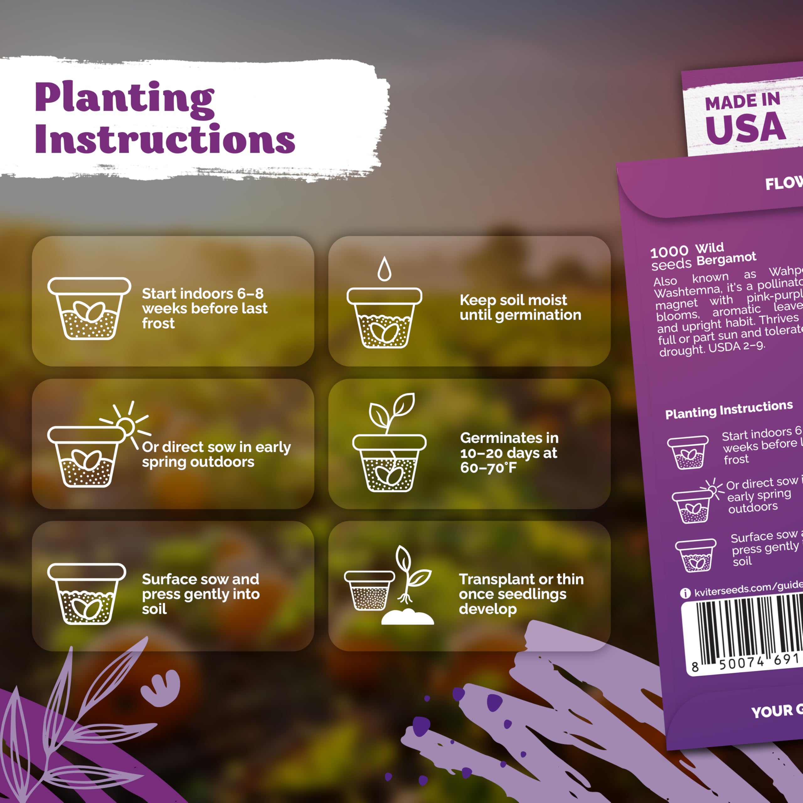 Pink wild bergamot flowers blooming in a garden