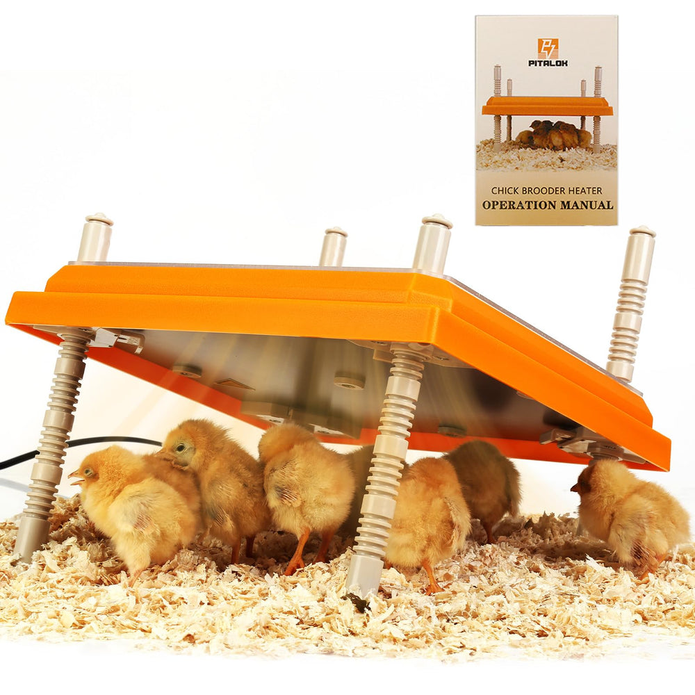 Pitalok Brooder Heater 12x12 front view with detachable cleaning plate