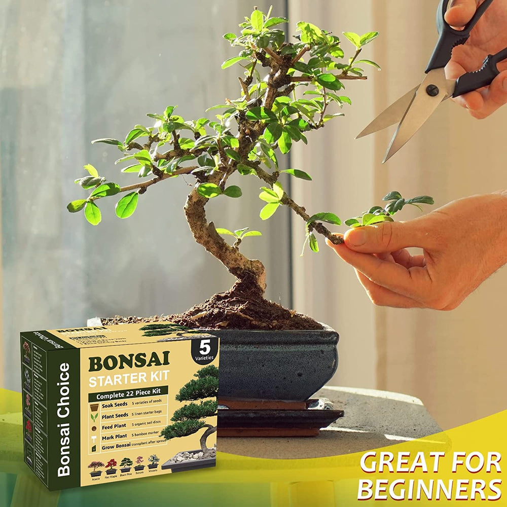Plant markers for indoor gardening from Meekear