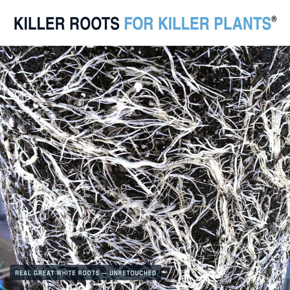 Plant Success Great White Mycorrhizal Fungi 1 oz powder in garden setting