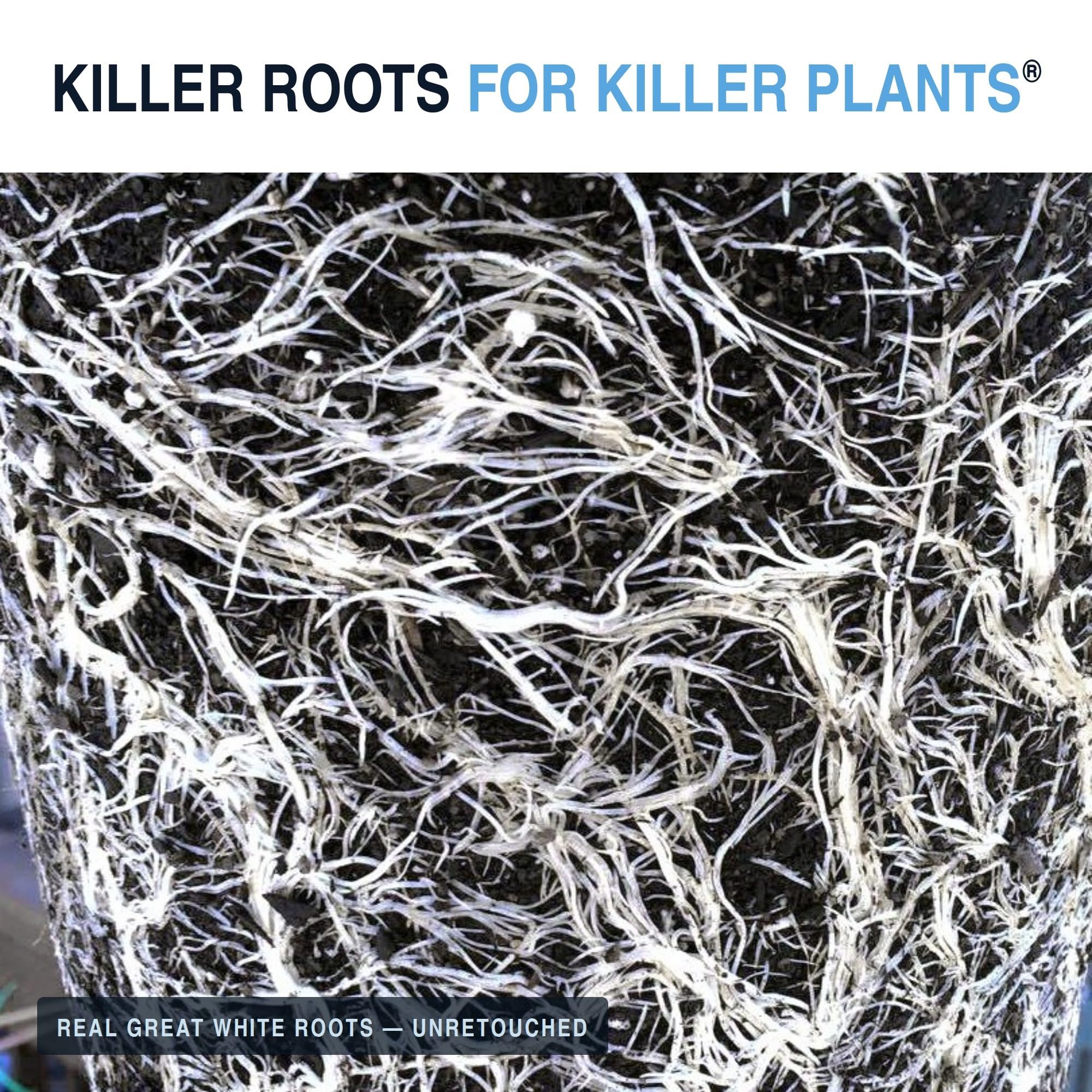 Plant Success Great White Mycorrhizal Fungi in gardening setting