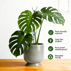 Plant support frames and accessories including straps and clips