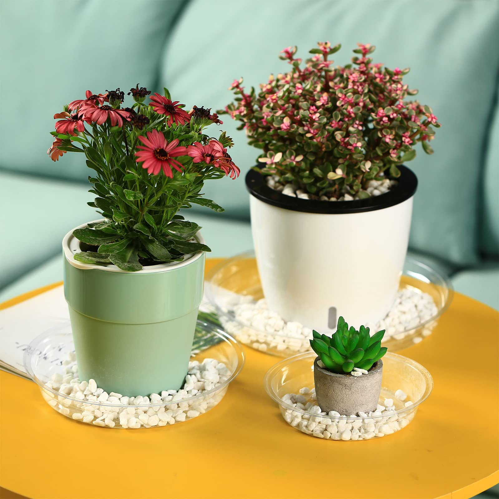 Planterhoma 30 pack clear plant saucers packaging