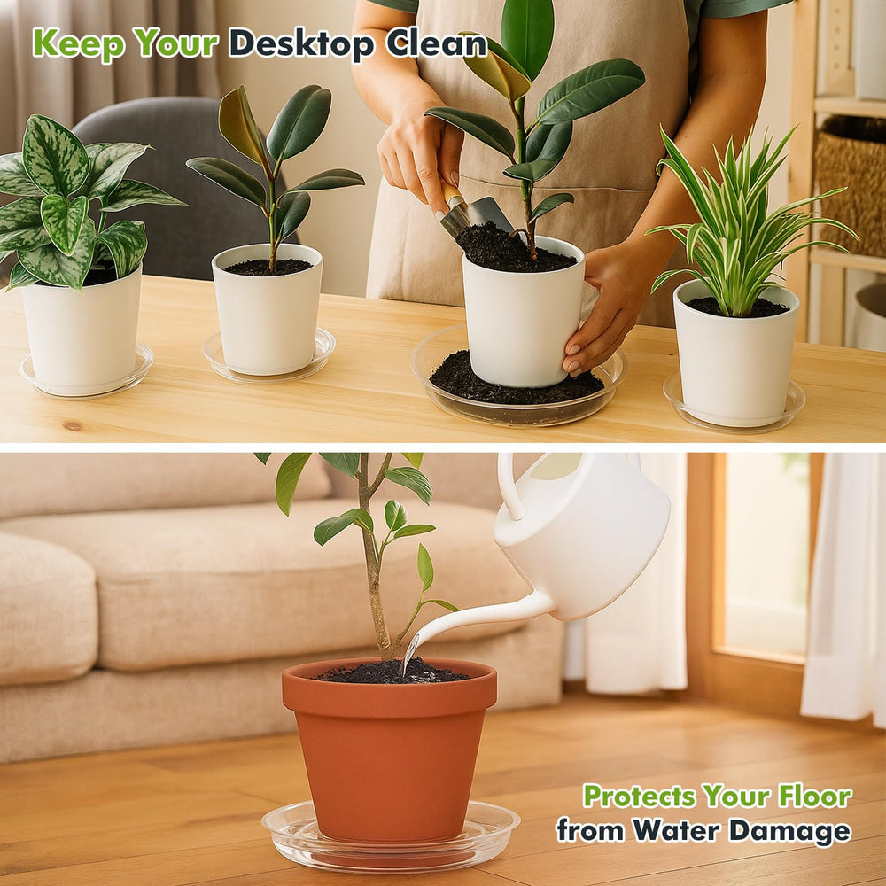 Planterhoma 4 inch clear plant saucer with plant