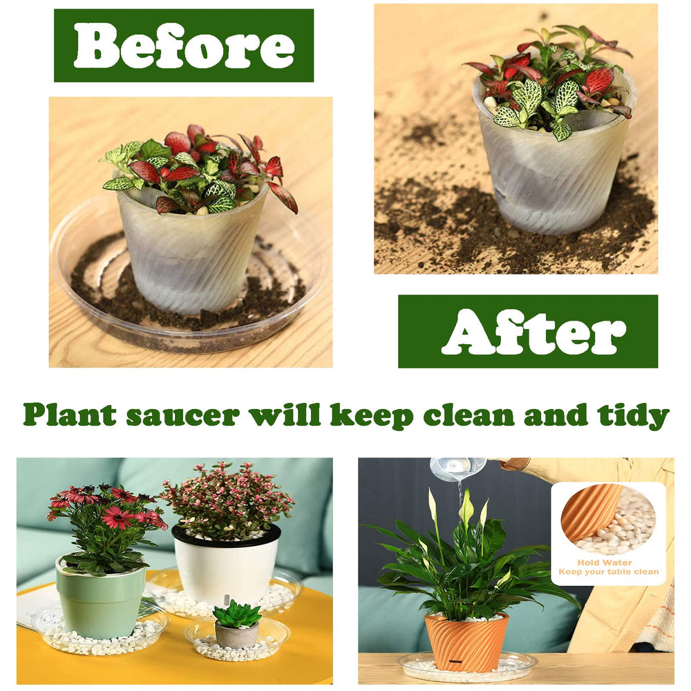 Planterhoma 8-inch saucer on a table with plant pot