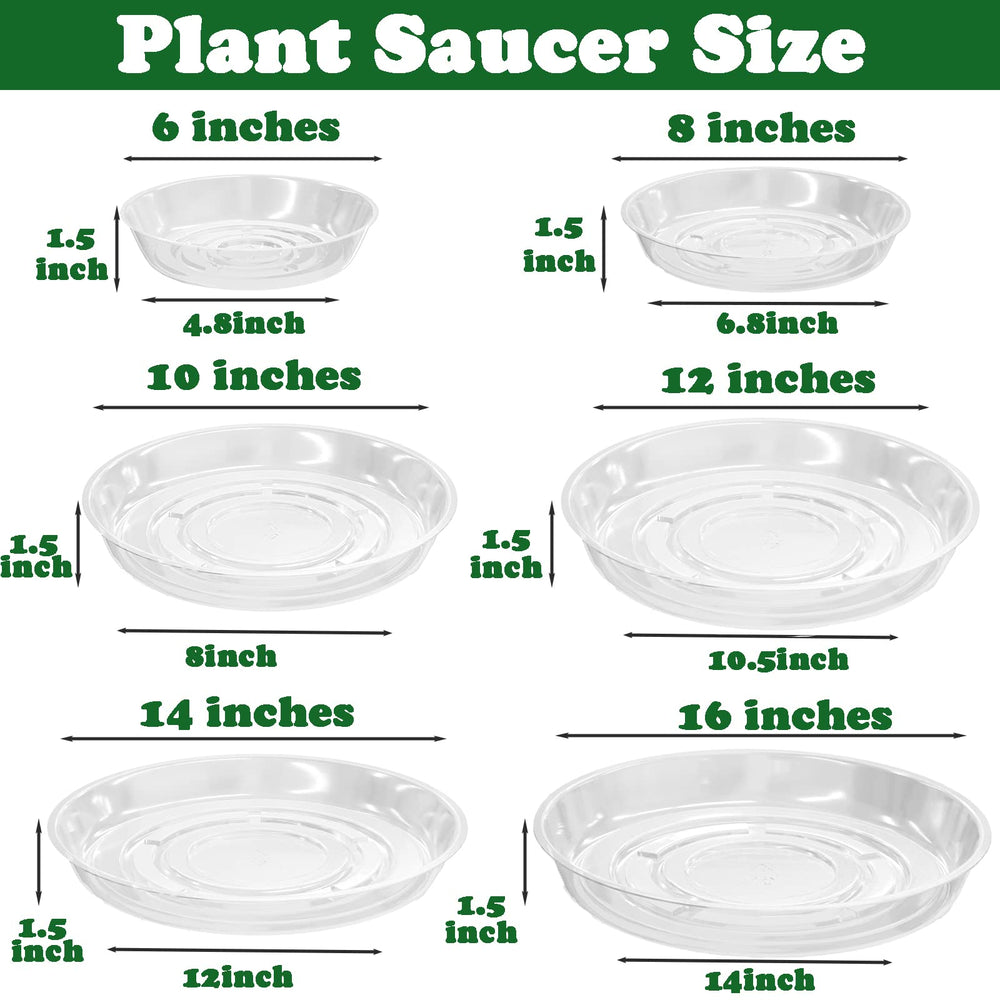 Planterhoma plant saucer used under a flower pot