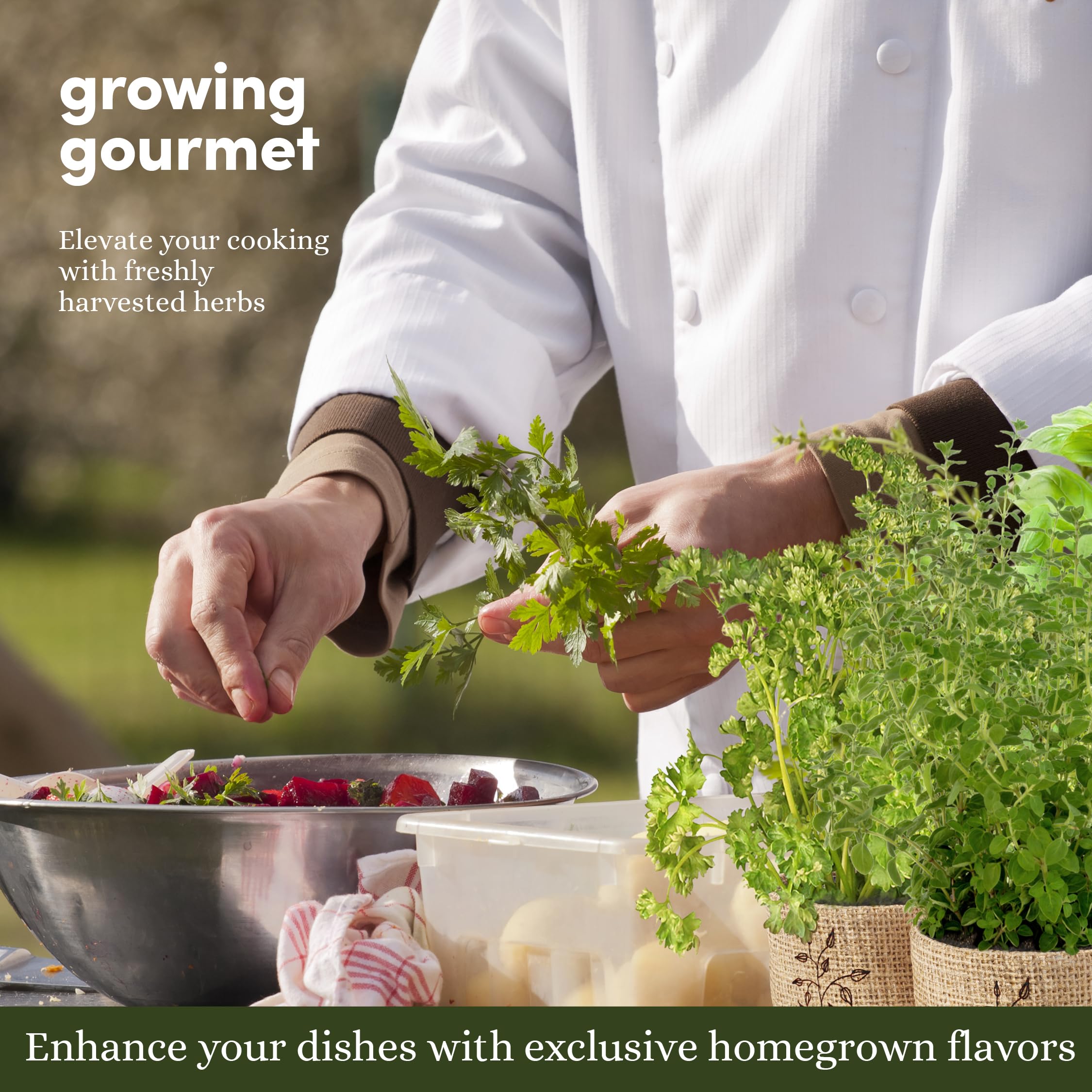 Planters' Choice kit displayed on a kitchen windowsill