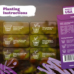 Planting calendula seeds in a garden bed