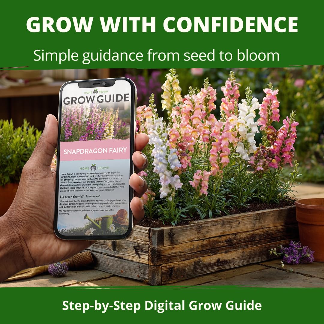 Planting instructions for HOME GROWN Fairy Snapdragon Seeds