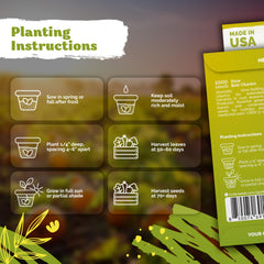Planting instructions for KVITER cilantro seeds