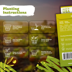 Planting instructions for KVITER Italian Oregano seeds