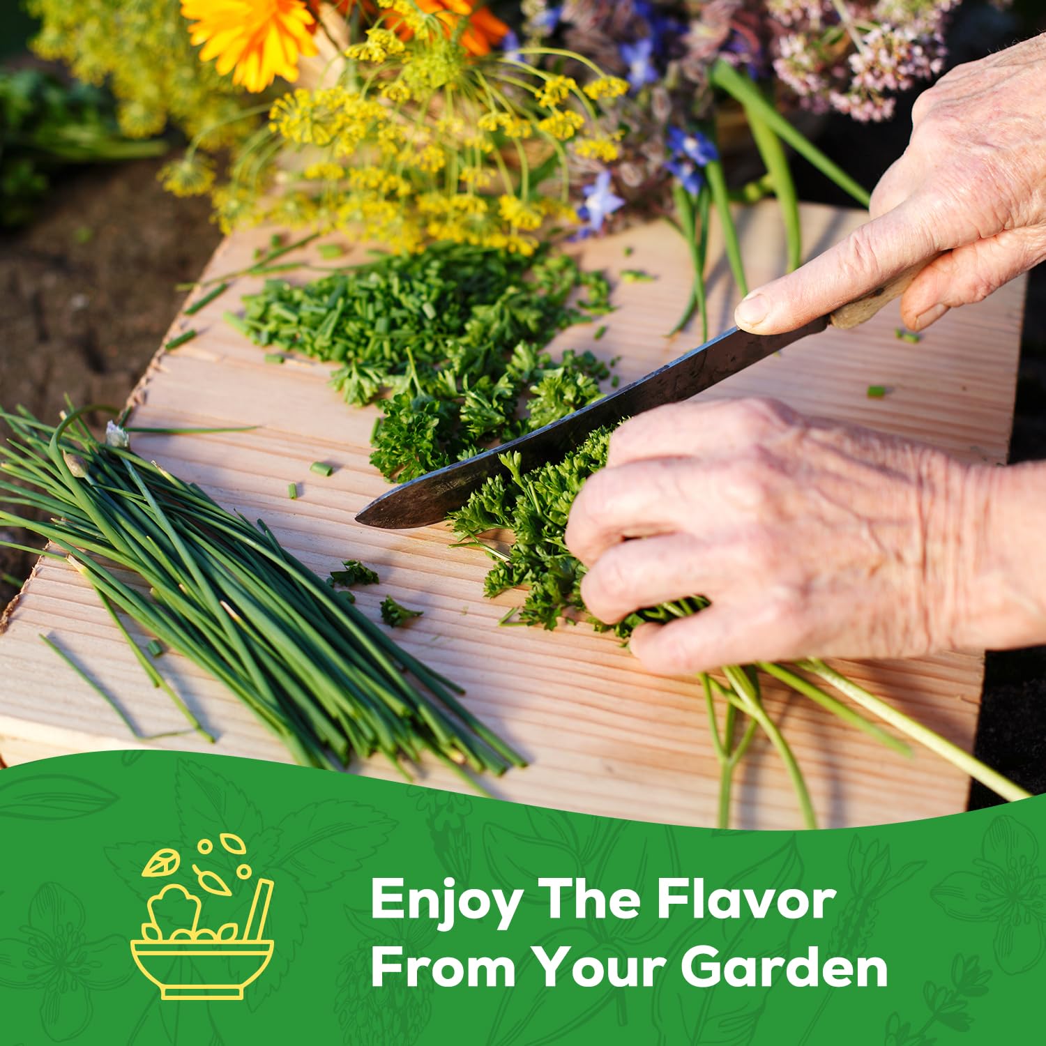 PLANTMEW Herb Seeds Variety Pack beautifully packaged as a gift