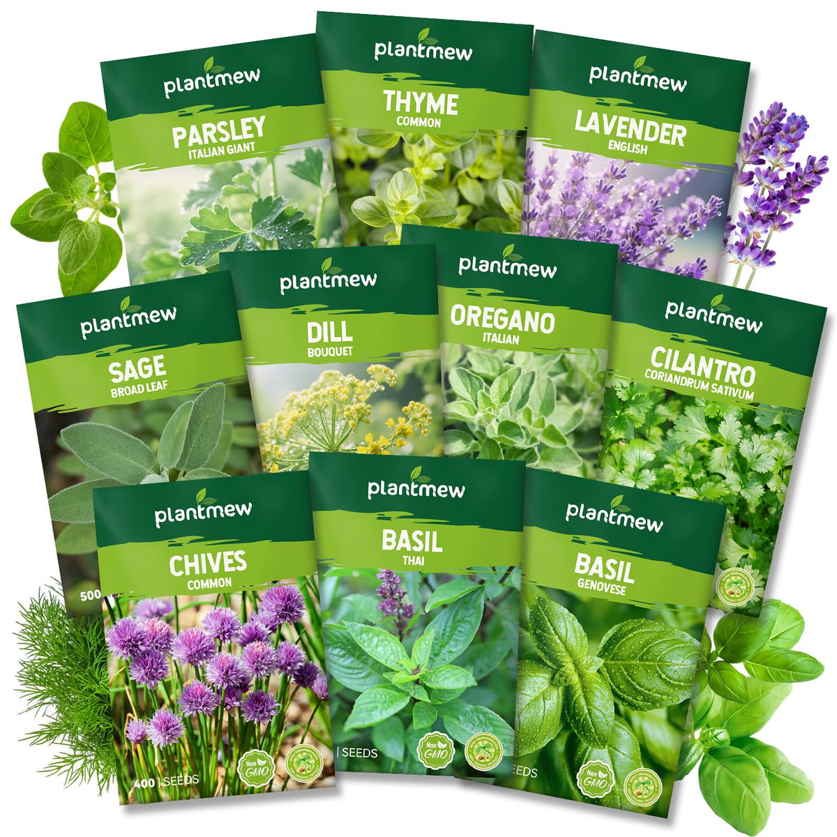 PLANTMEW Herb Seeds Variety Pack front view with seed packets