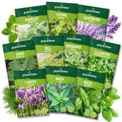 PLANTMEW Herb Seeds Variety Pack front view with seed packets