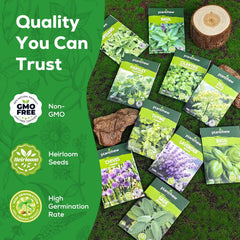 PLANTMEW seeds variety pack showing all 10 herb varieties