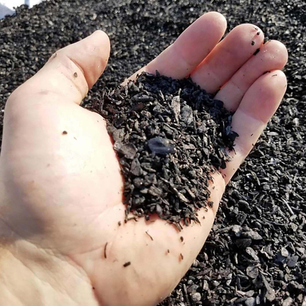 plantonix Char Bliss organic biochar used in potted plants