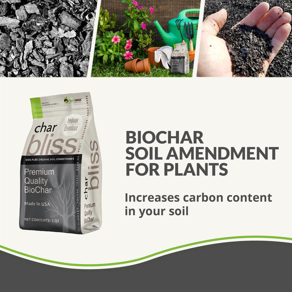 Plantonix Char Bliss packaging showing product details