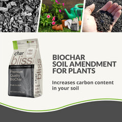 Plantonix Char Bliss packaging showing product details