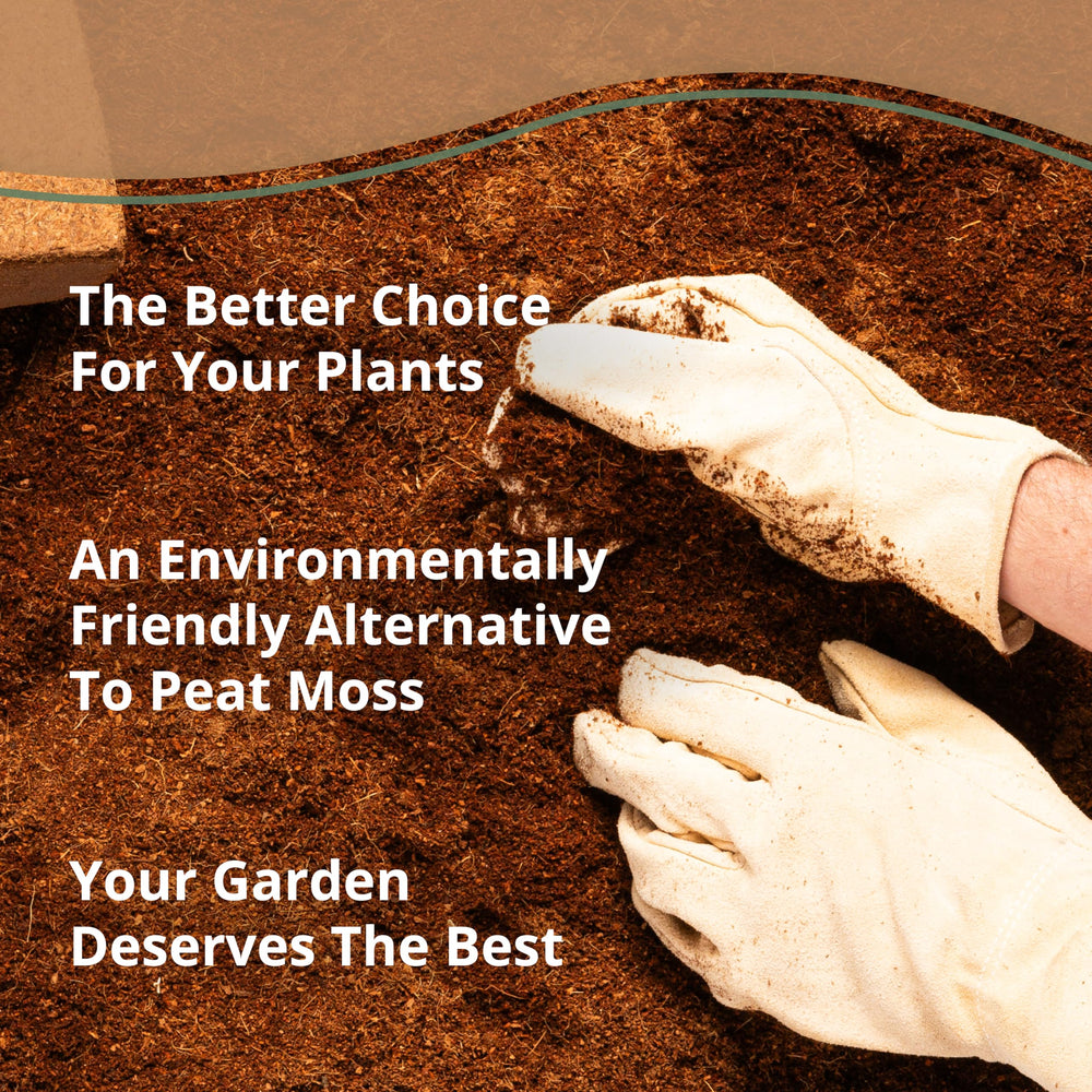 plantonix Coco Bliss used in potting soil for indoor plants