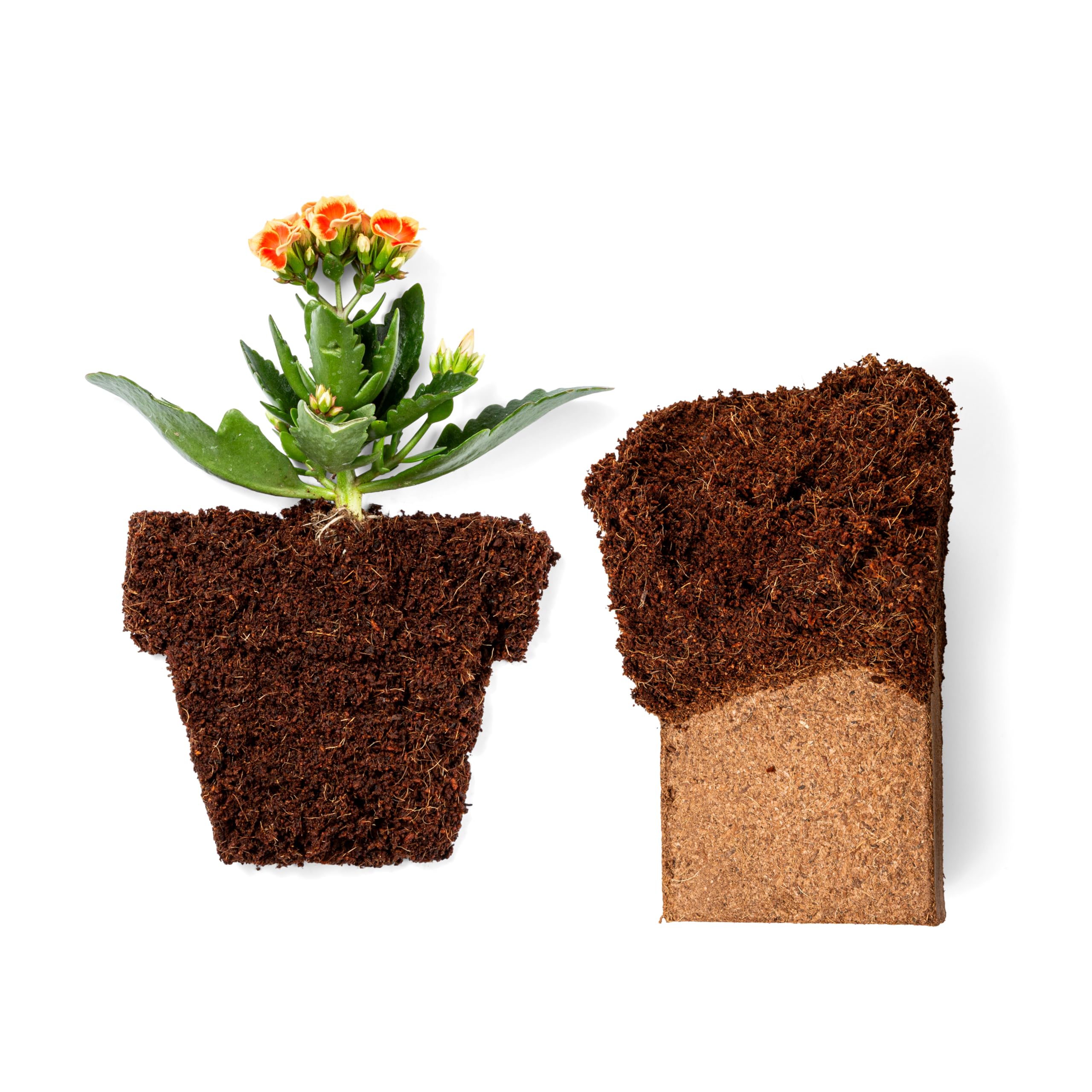Plantonix Coco Coir bricks in a garden bed