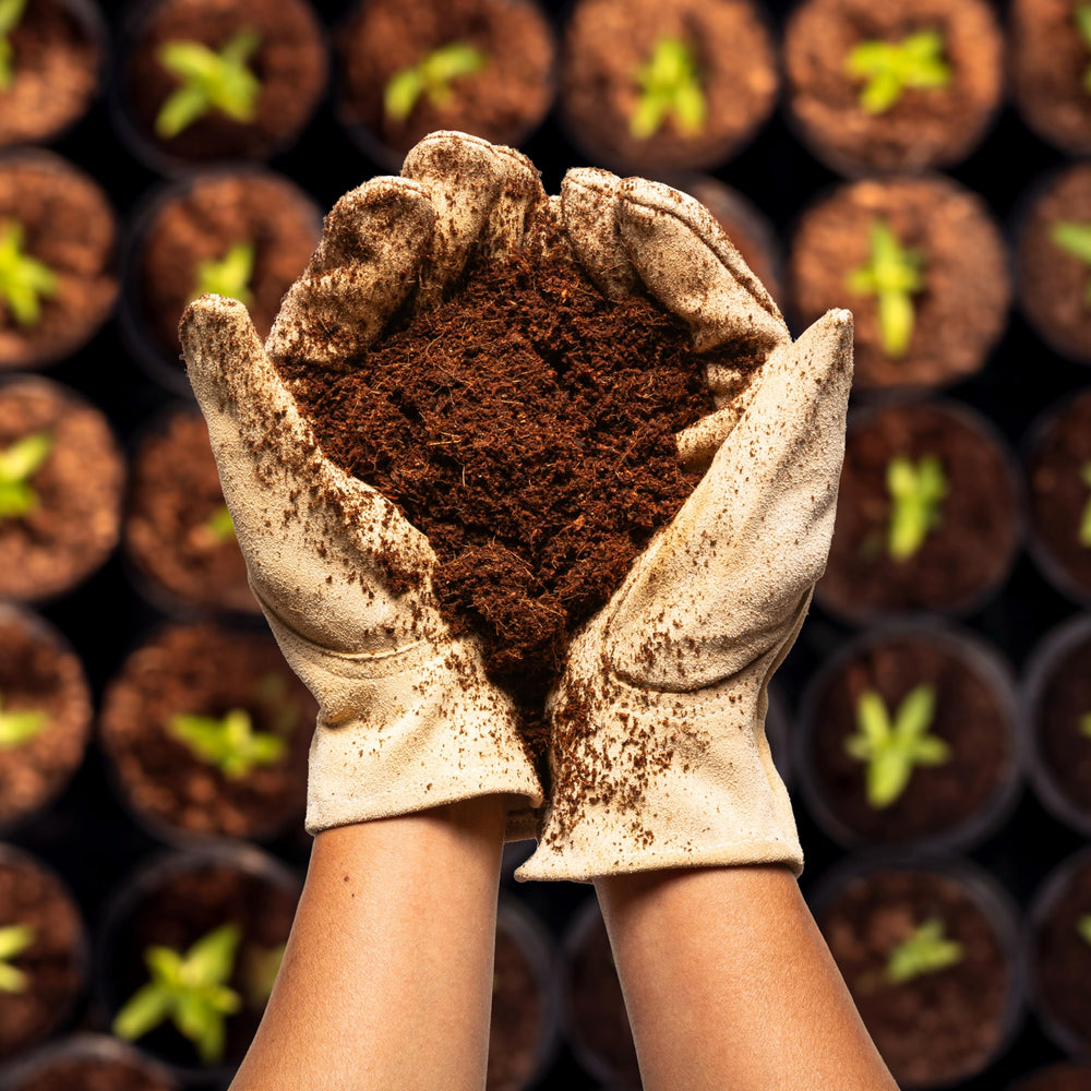 Plantonix Coco Coir in a garden container