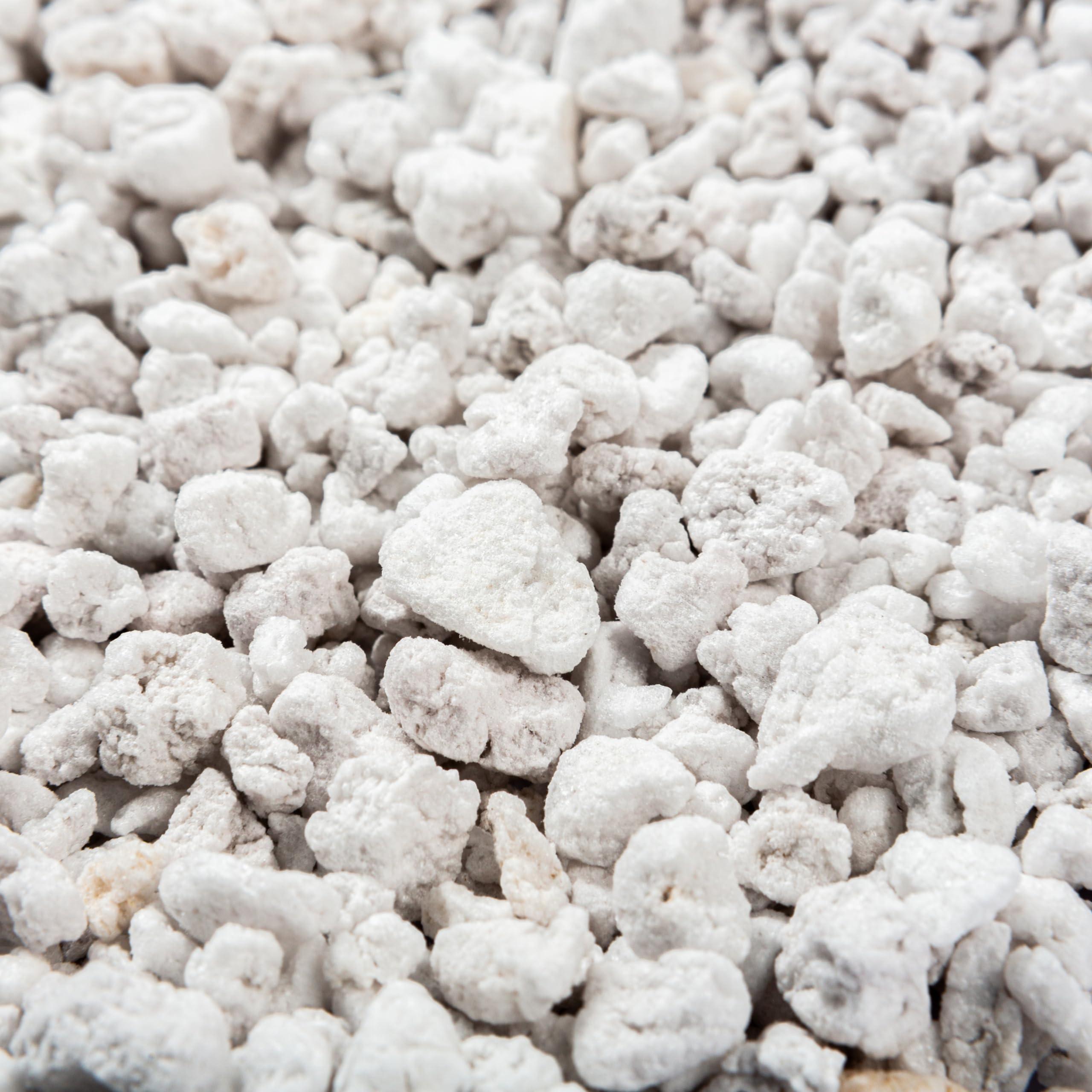 Plantonix Perlite Bliss close-up of granules