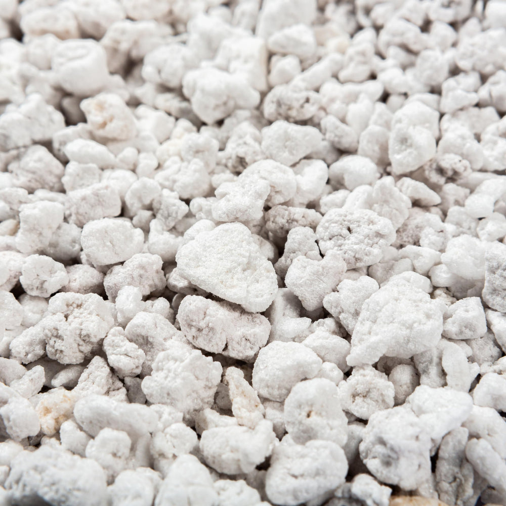 Plantonix Perlite Bliss close-up of granules