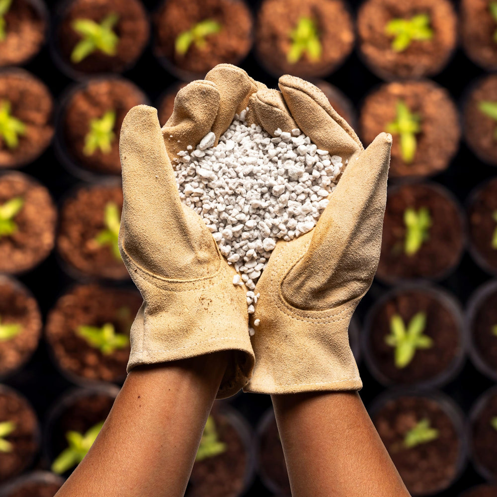 Plantonix Perlite Bliss packaging with dimensions