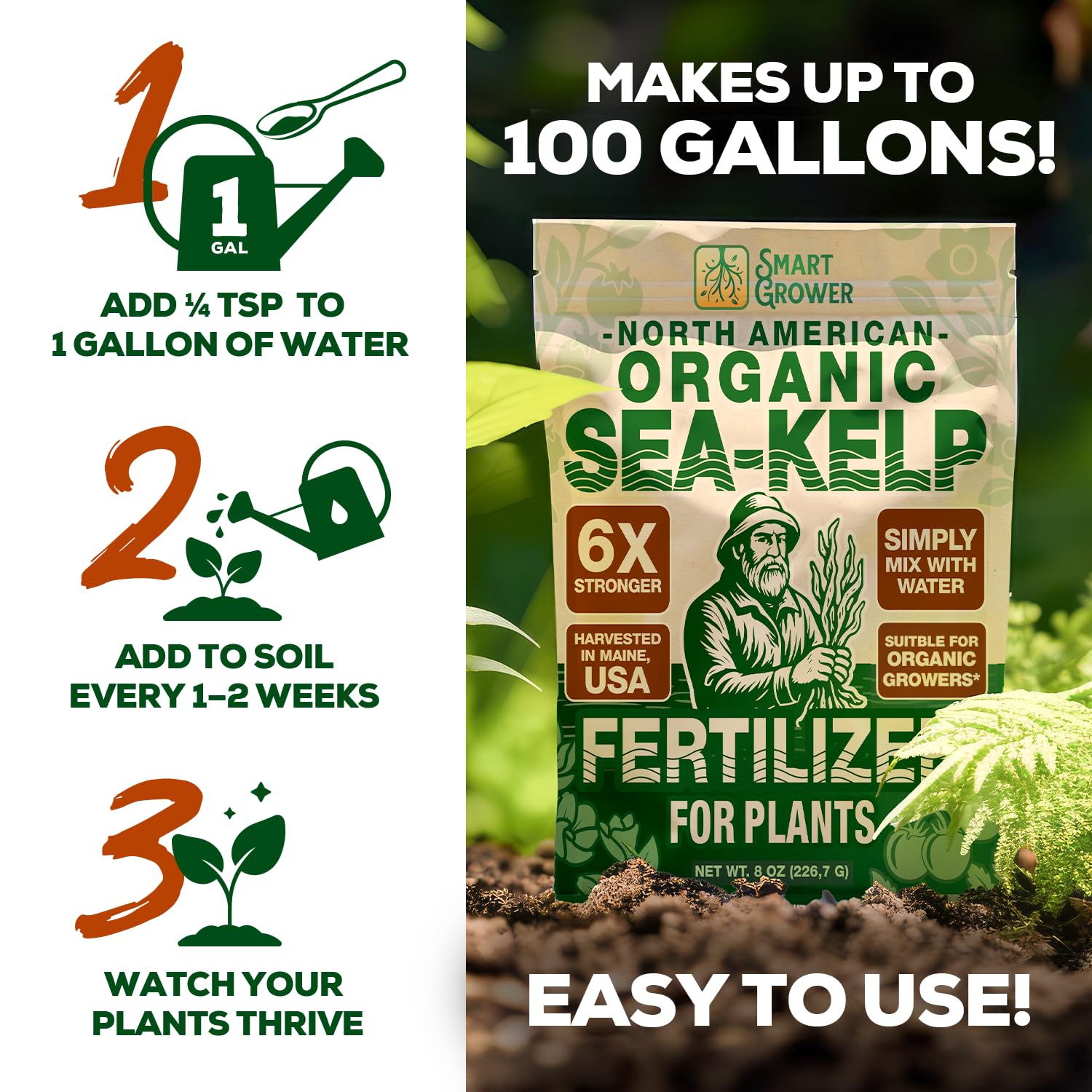 Plants thriving with Smart Grower Sea-Kelp Fertilizer