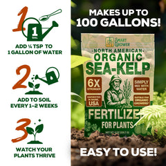 Plants thriving with Smart Grower Sea-Kelp Fertilizer