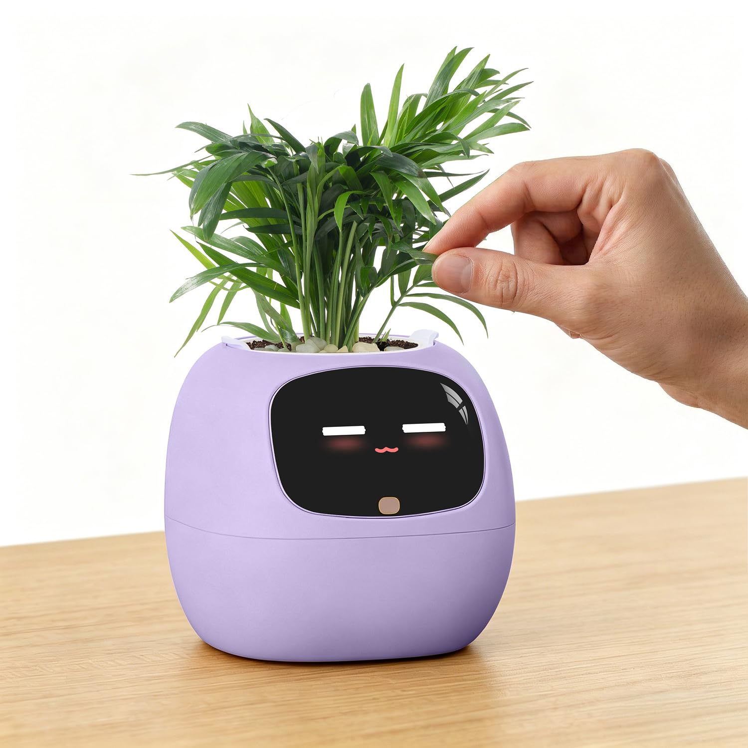 PLANTSIO Ivy AI Desk Companion front view in lilac