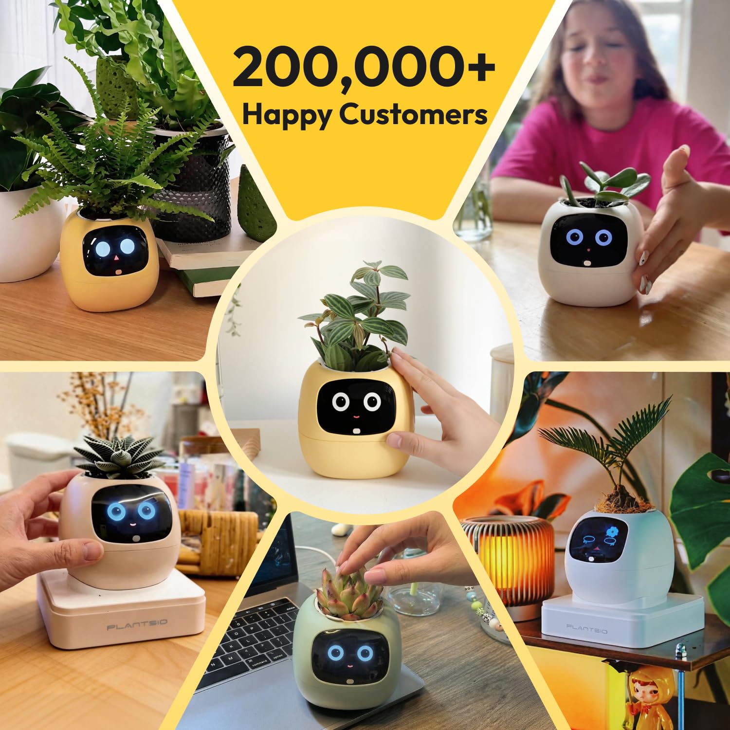 PLANTSIO Ivy in a cozy living room setting